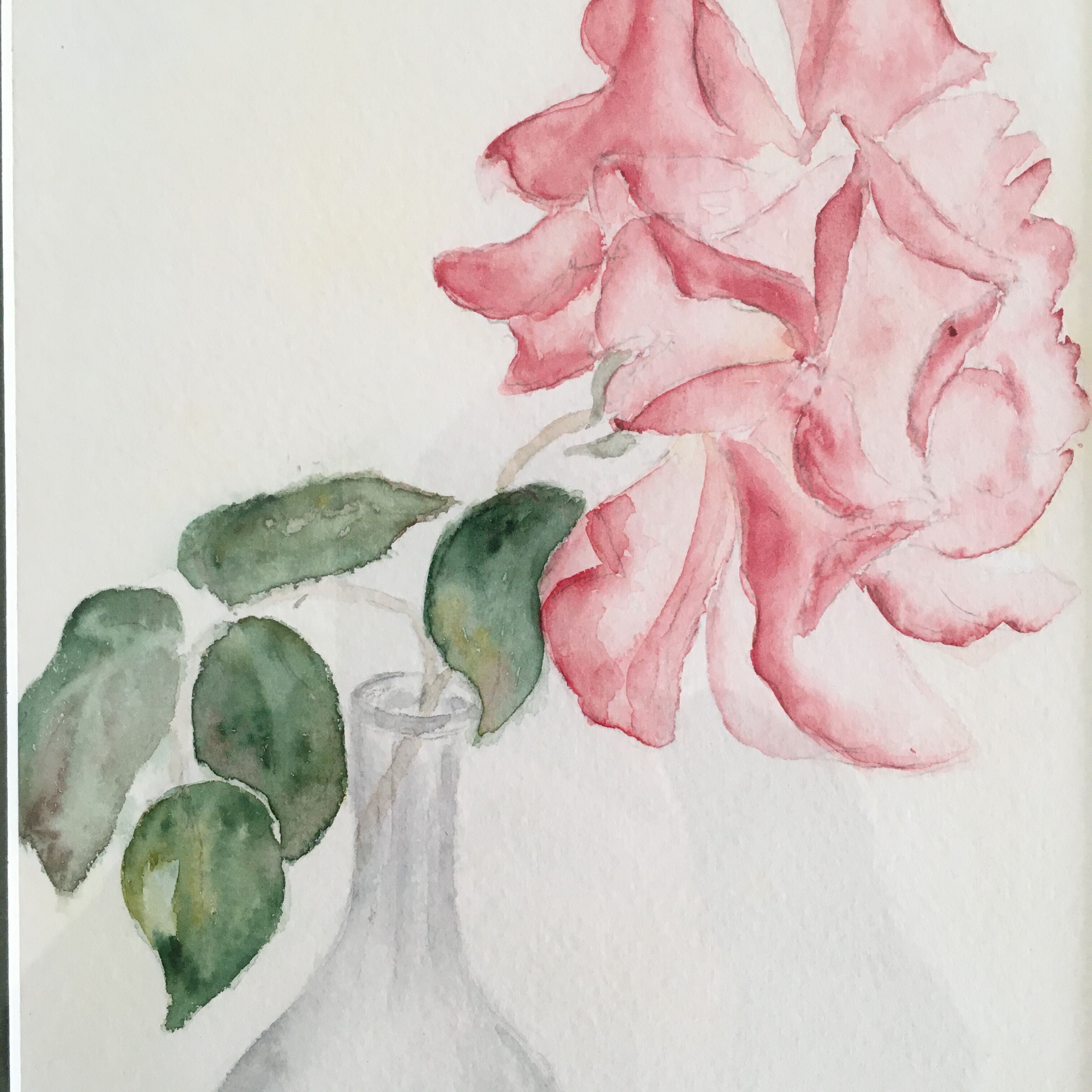 Watercolor rose and soliflore