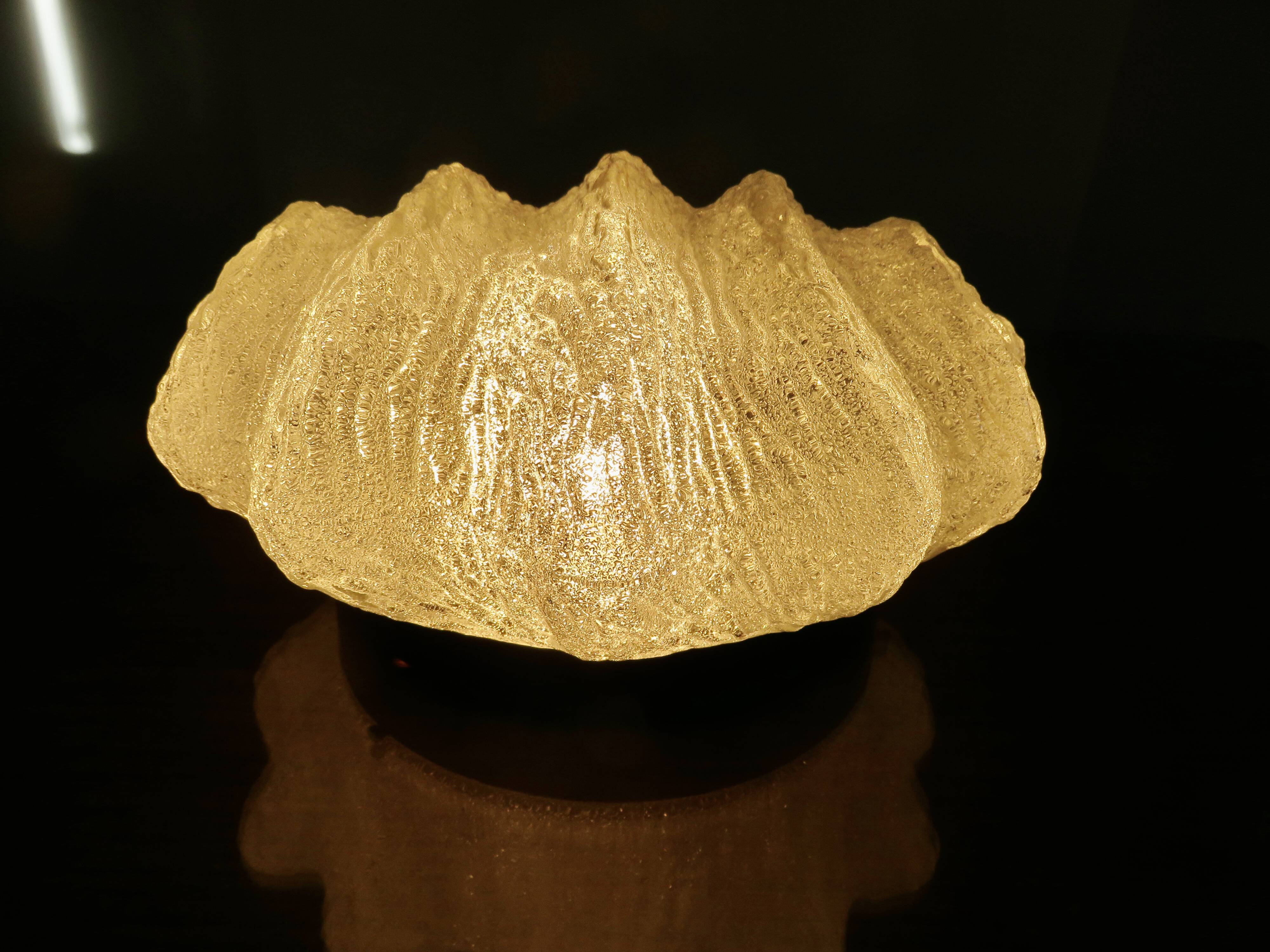 Austrian "ice glass" ceiling lamp by JT Kalmar 1970