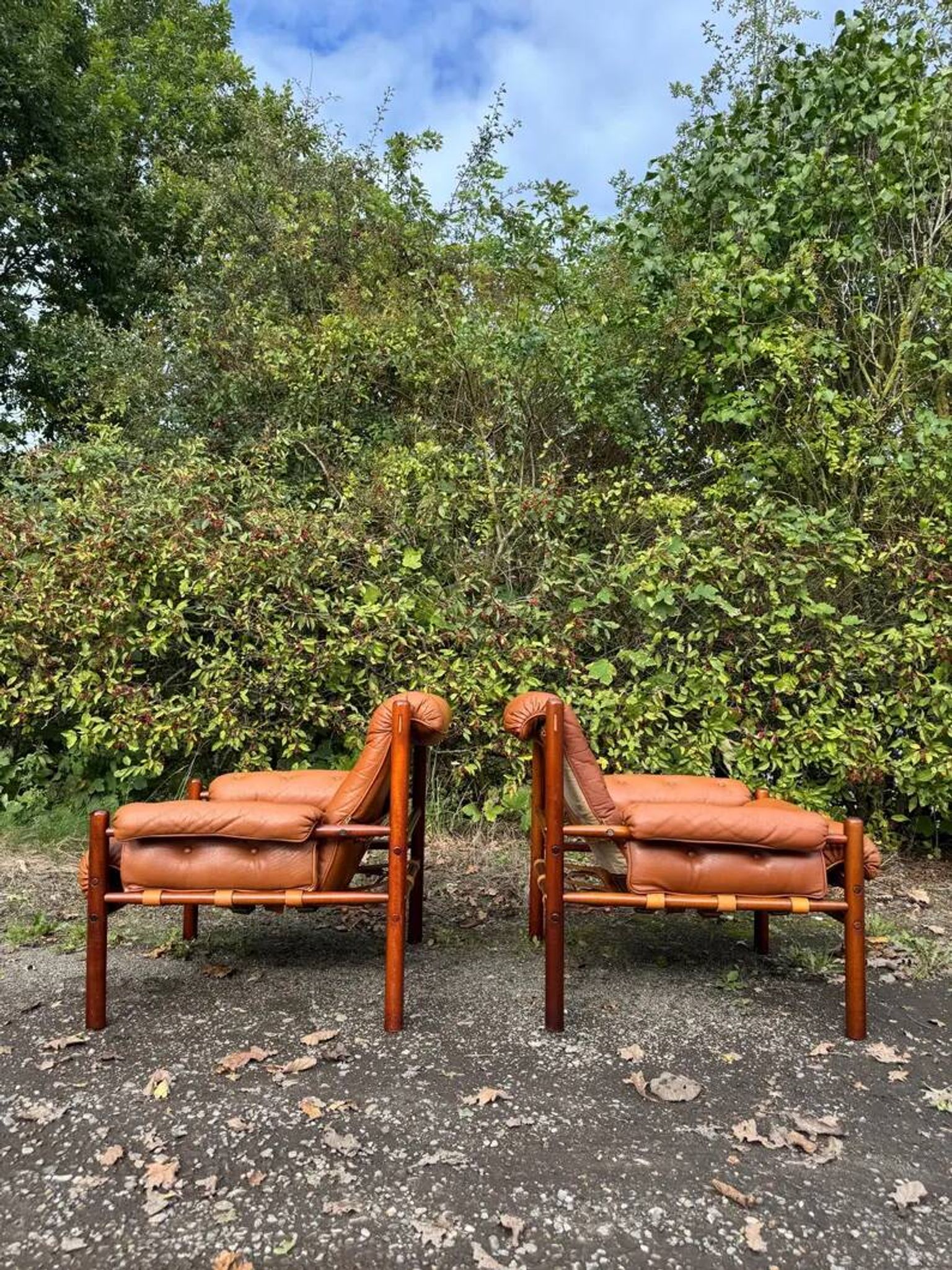 Pair of lounge chairs "Dickie" by Arne Norell – Sweden, 1970s