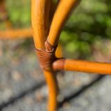 Set of two cane and rattan chairs