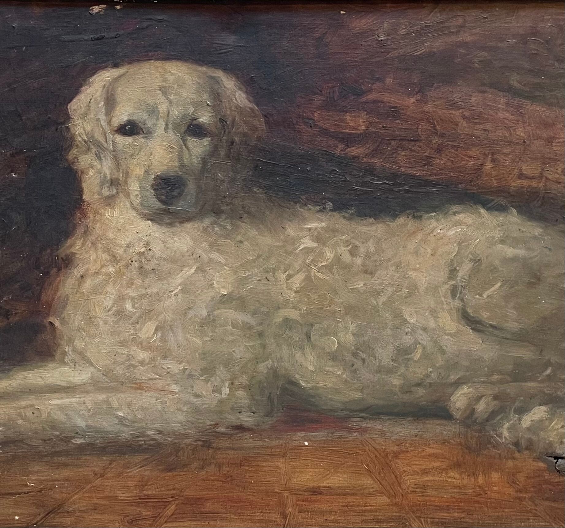 Portrait of a dog