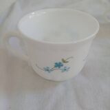 New Arcopal Myosotis cups