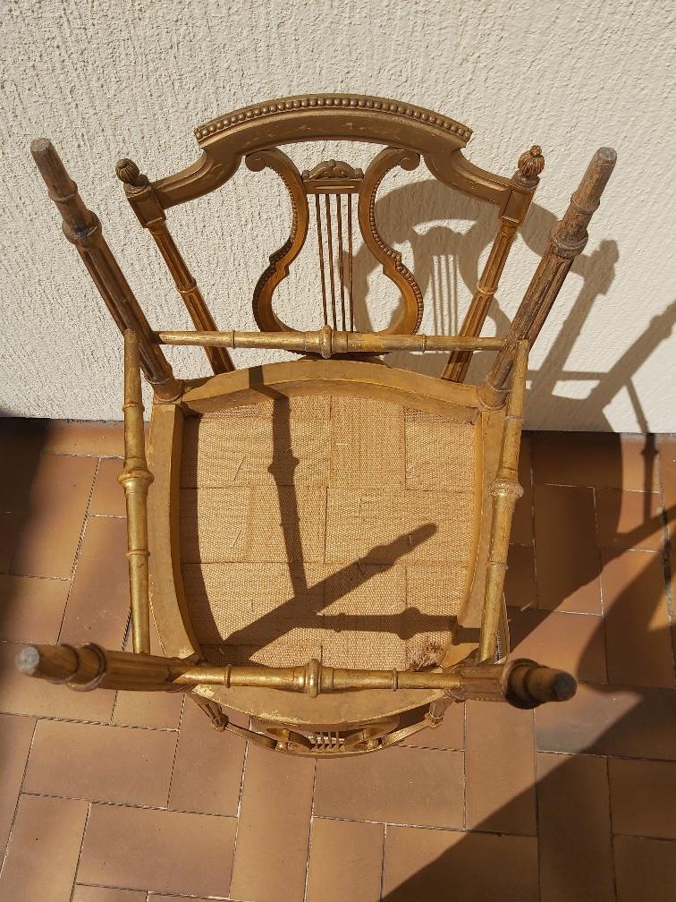 Pair of chairs with a golden lyre
