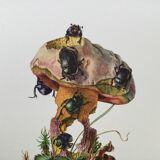 Vintage Insect Print, Old Illustration from the 60s