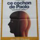 Affiche de cinéma originale "Ce cochon de Paolo"