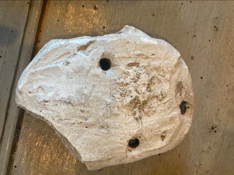 Lot bas-relief in plaster