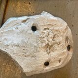 Lot bas-relief in plaster