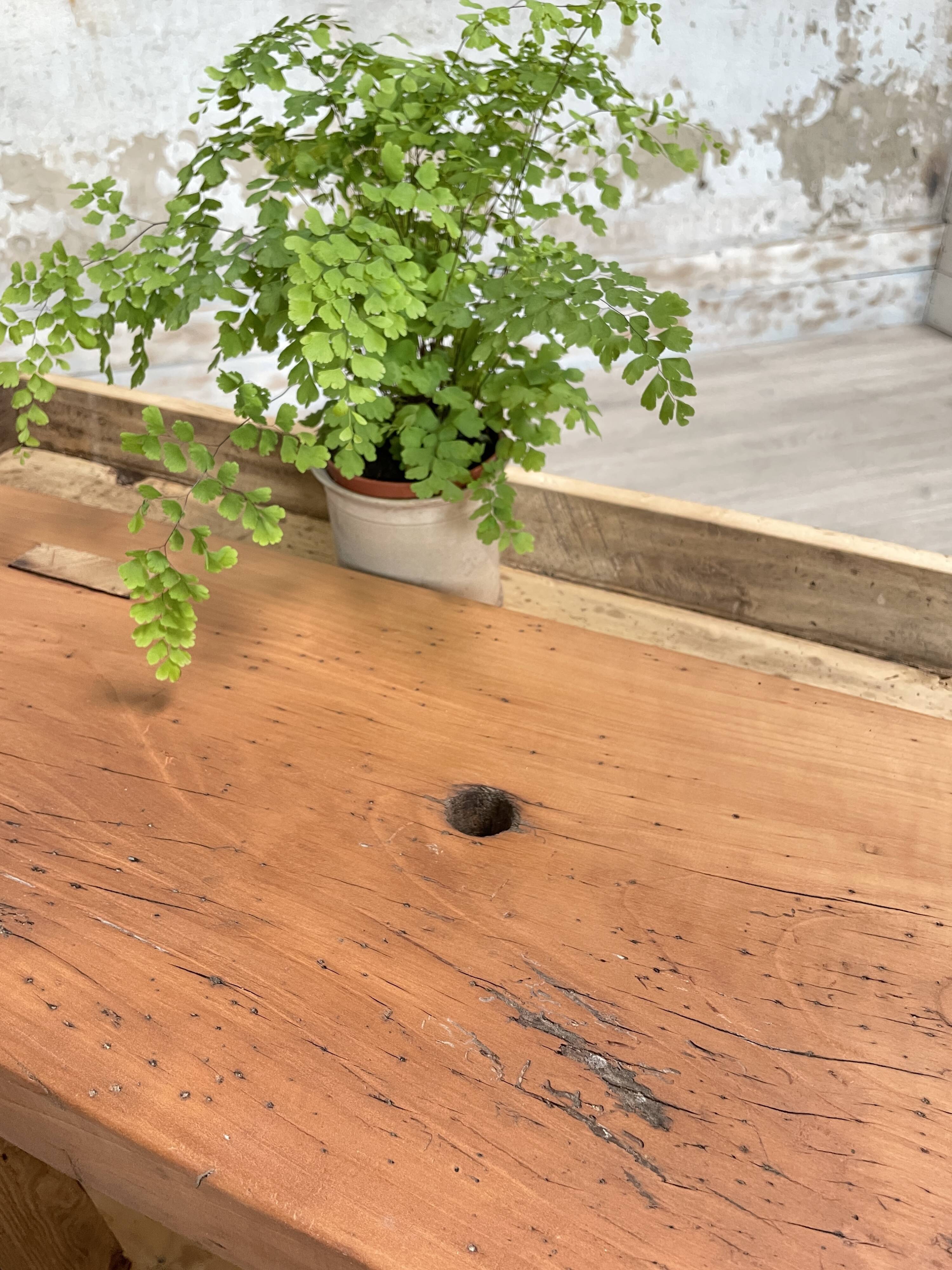 Solid wood workbench