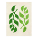 Peinture sur papier - illustration leaf - signée eawy