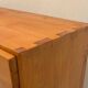 Massive elm enfilade from the Regain house, France around 1970.