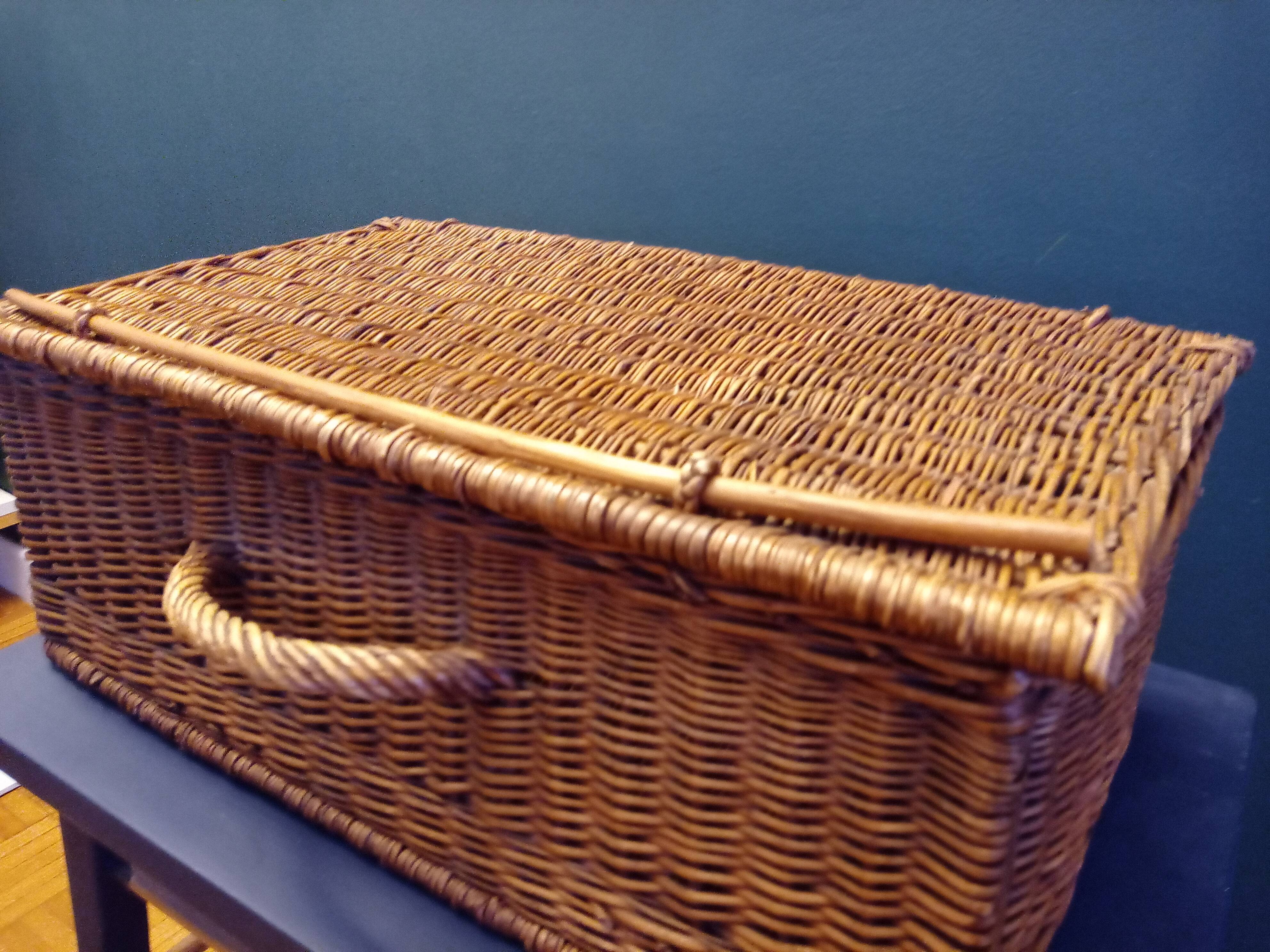 Wicker trunk