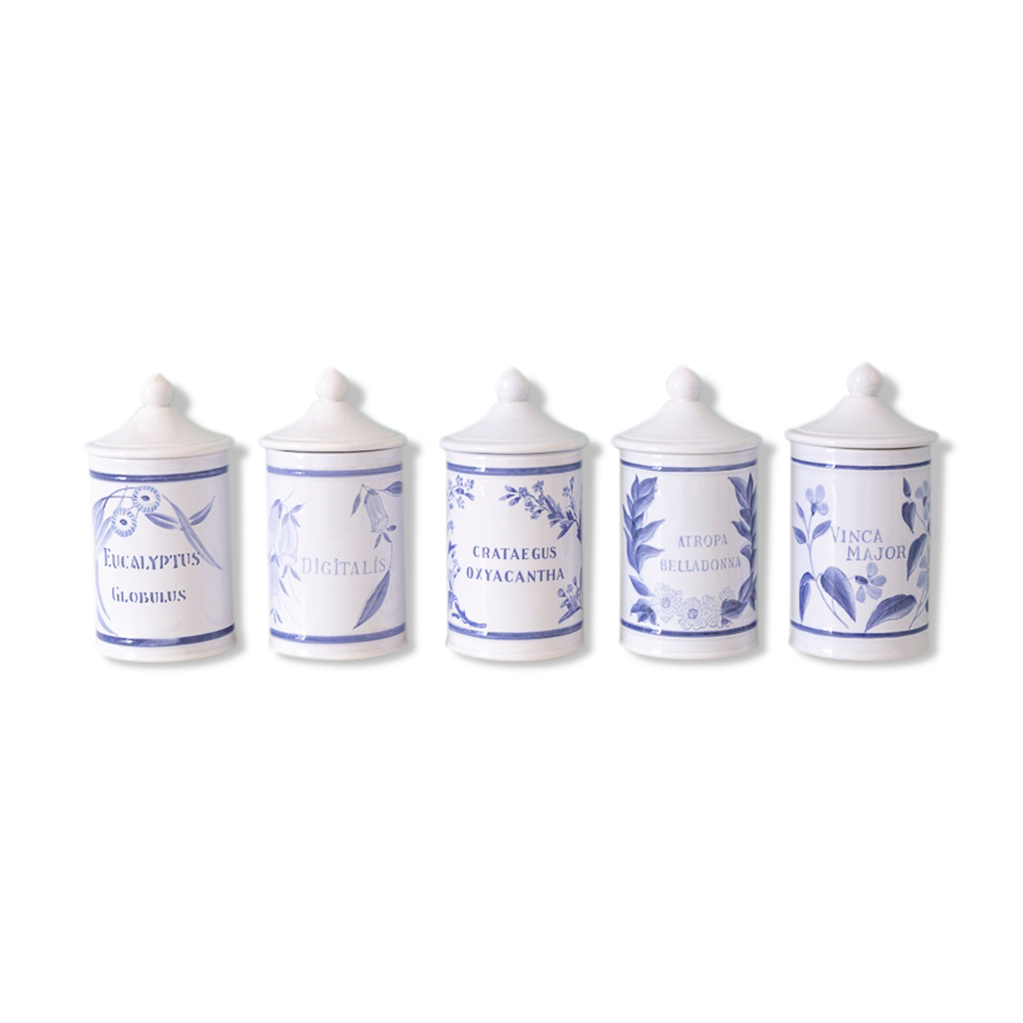 5 pots ceramic pharmacy ceramic earthenware of Longchamp