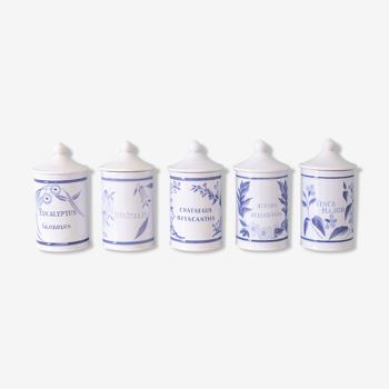 5 pots ceramic pharmacy ceramic earthenware of Longchamp