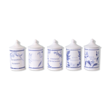 5 pots ceramic pharmacy ceramic earthenware of Longchamp