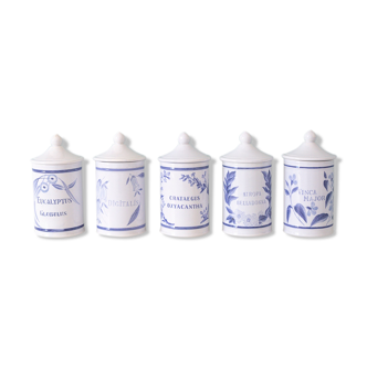 5 pots ceramic pharmacy ceramic earthenware of Longchamp