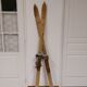 Pair of old skis in wood and zinc 175 cm