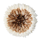 Juju hat beige 45 cm