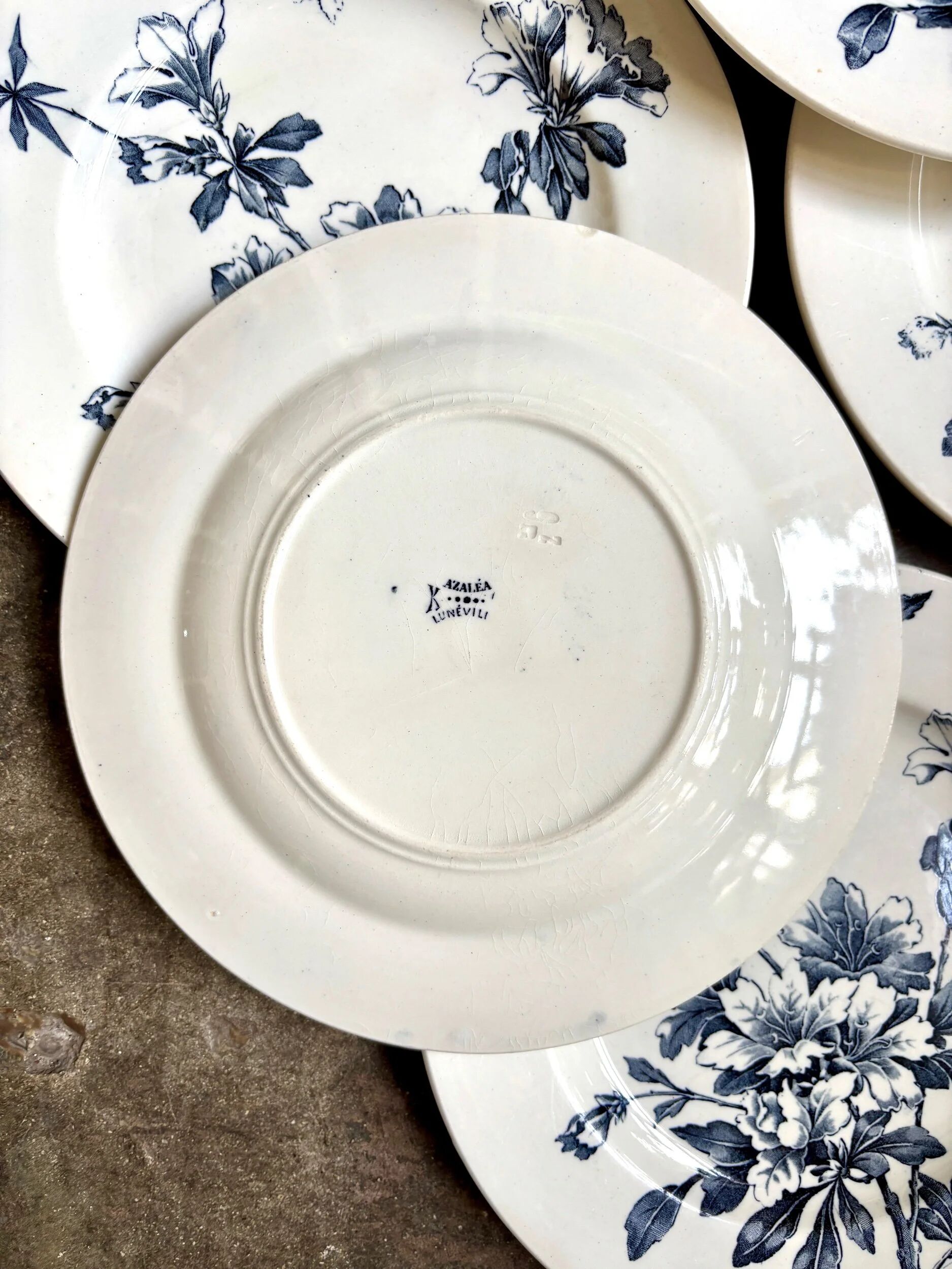 6 Lunéville dessert plates in blue ironstone, "Azaléa" service