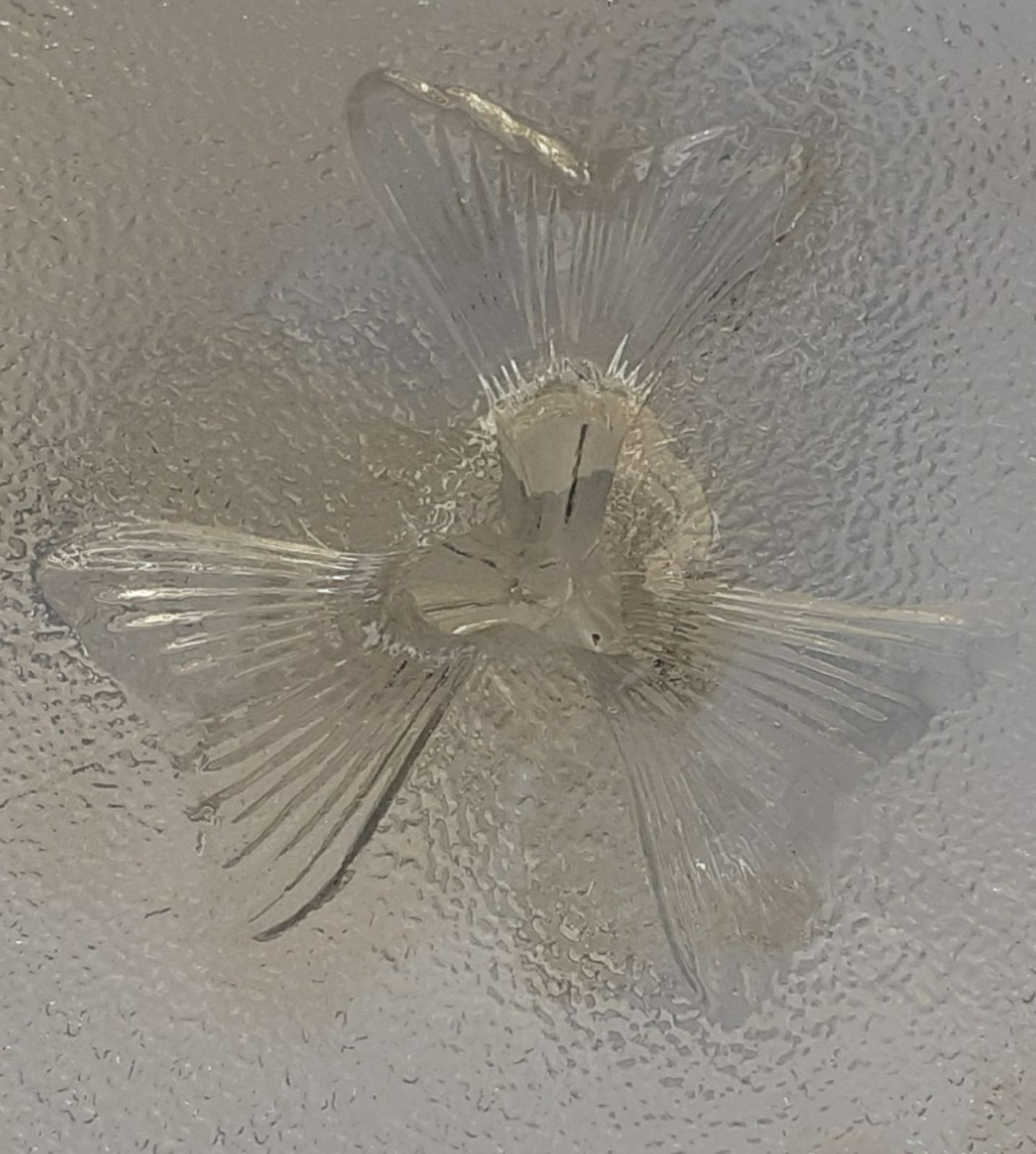 Paire de coupes en verre décor dauphins