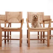 Set of four mid-century modern Danish dining chairs papercord solid pine