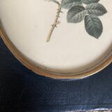 Set of three frames medallions