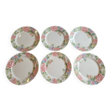 Rose Garden Plates Set by Showa Art Workshop Japan (Set of 6)