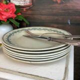 6 assiettes plates anciennes terre de fer