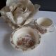 Baby plate and cup