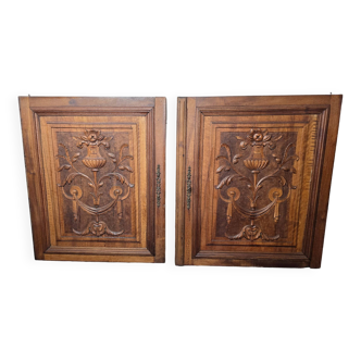Pair of carved walnut wooden doors