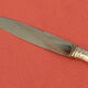 Set of 11 knives handle silver metal stainless steel blade