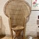Fauteuil emmanuelle adulte