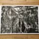 Aerial photo Lapie year 1950