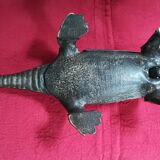 Pharmacist's corkscrew salamander