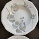 6 Rosenthal soup plates