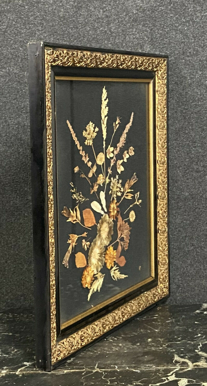 Herbarium painting made during the Napoleon III period around 1850