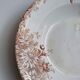 Large deep plate Terre de fer Gien Autumn