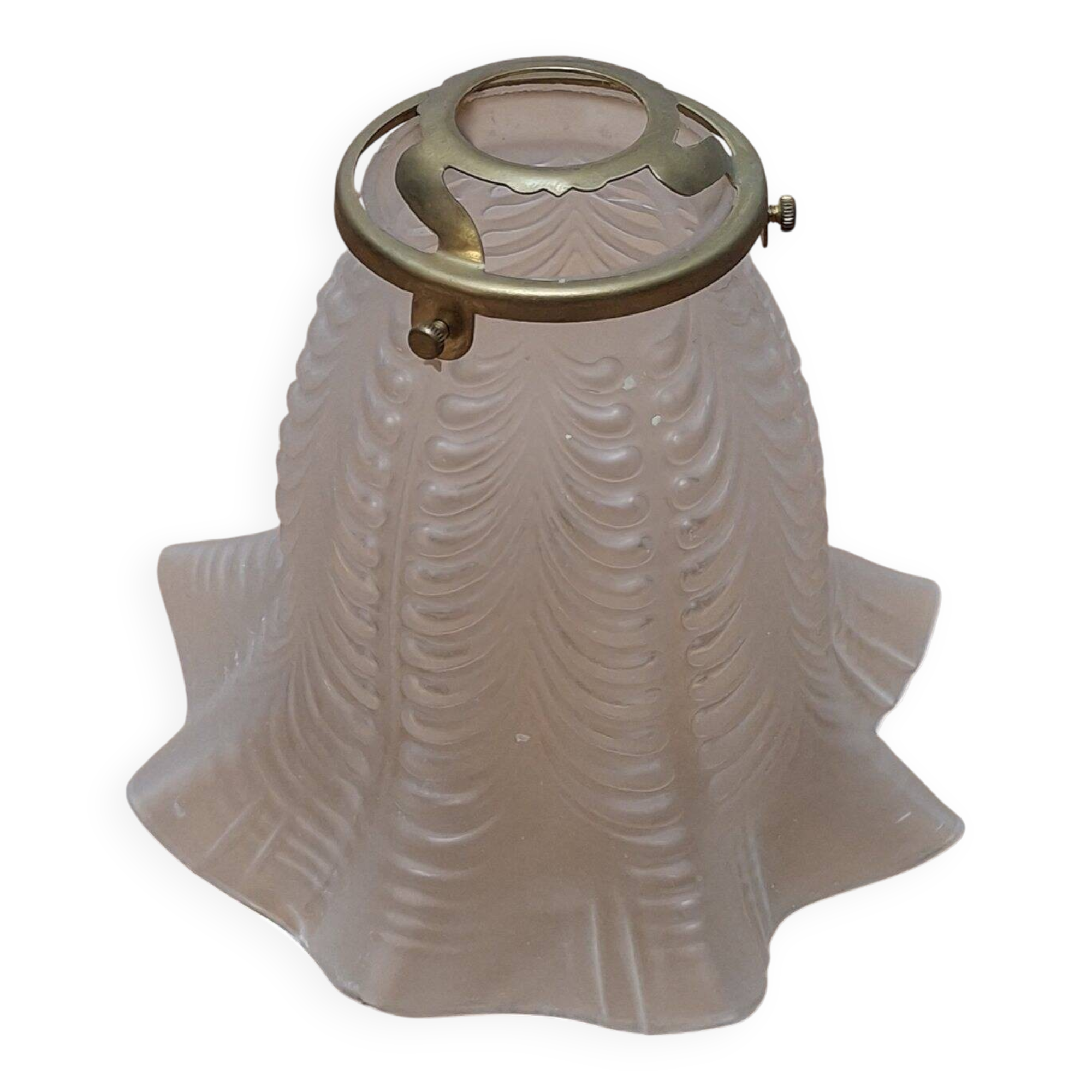 Tulip lampshade in frosted glass and brass, 1950s
