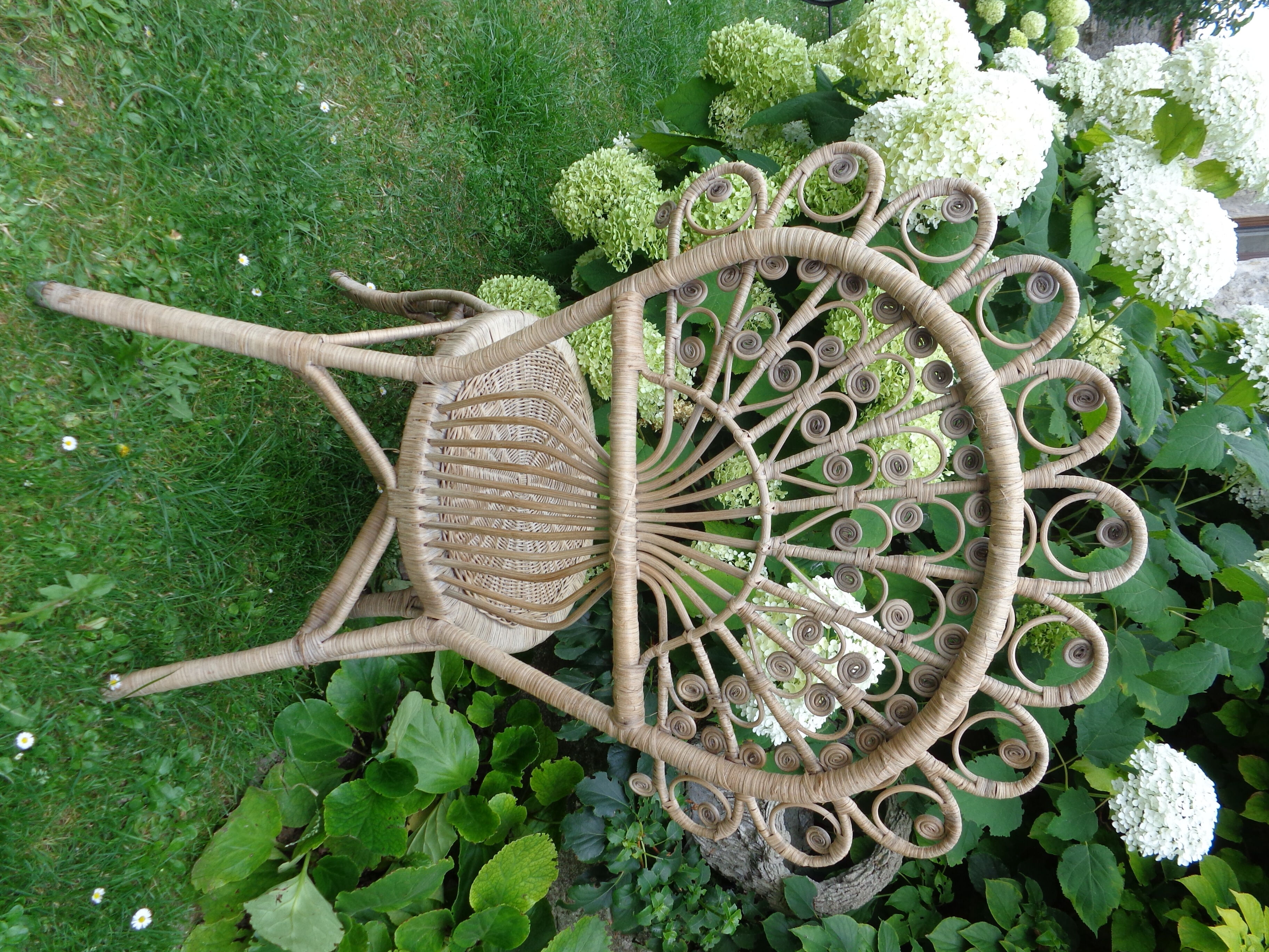 Peacock rattan chair