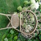 Peacock rattan chair