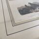 Old framed engraving of birds "red grouse"
