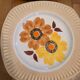 6 Mondovi plates