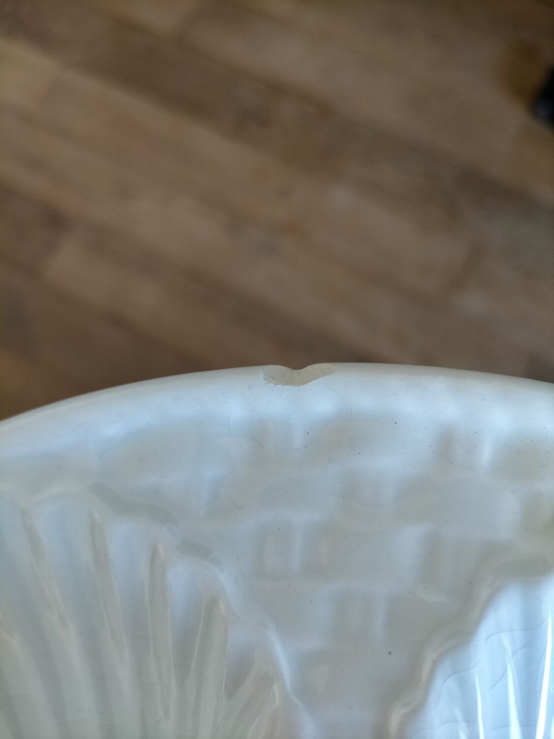 Oyster service Longchamp