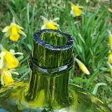 Lady jeanne green neck slashed at the end of the 19th