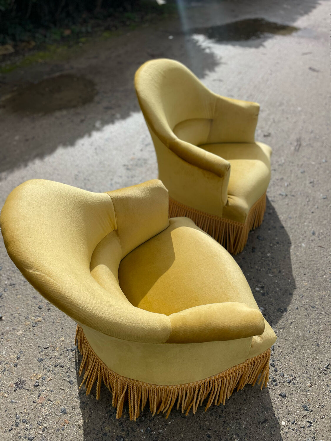 Pair of yellow toad armchairs