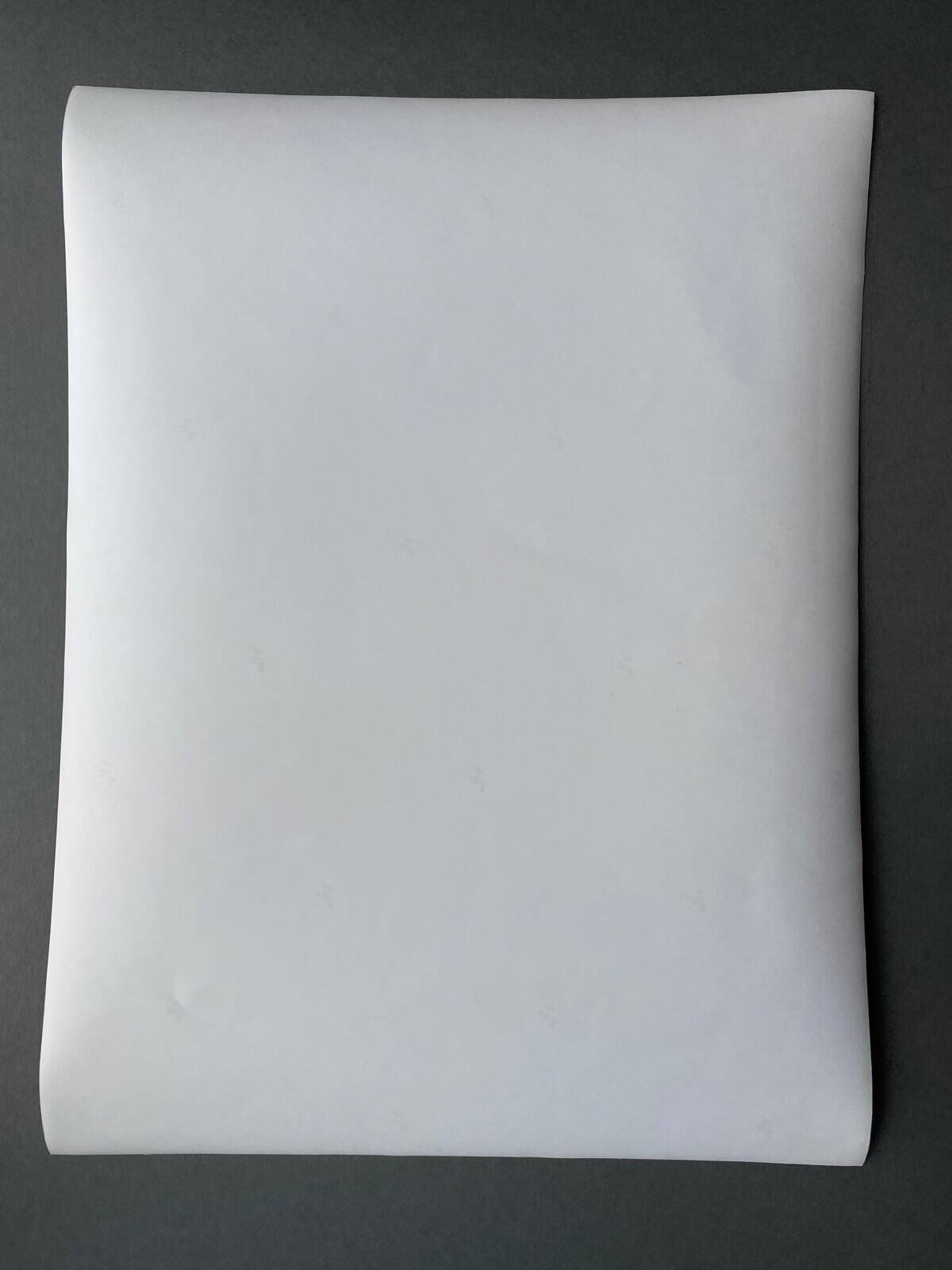 Silver photo Bernard Darot 20th Torrent in the valley