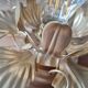 Golden brass flower wall lamp