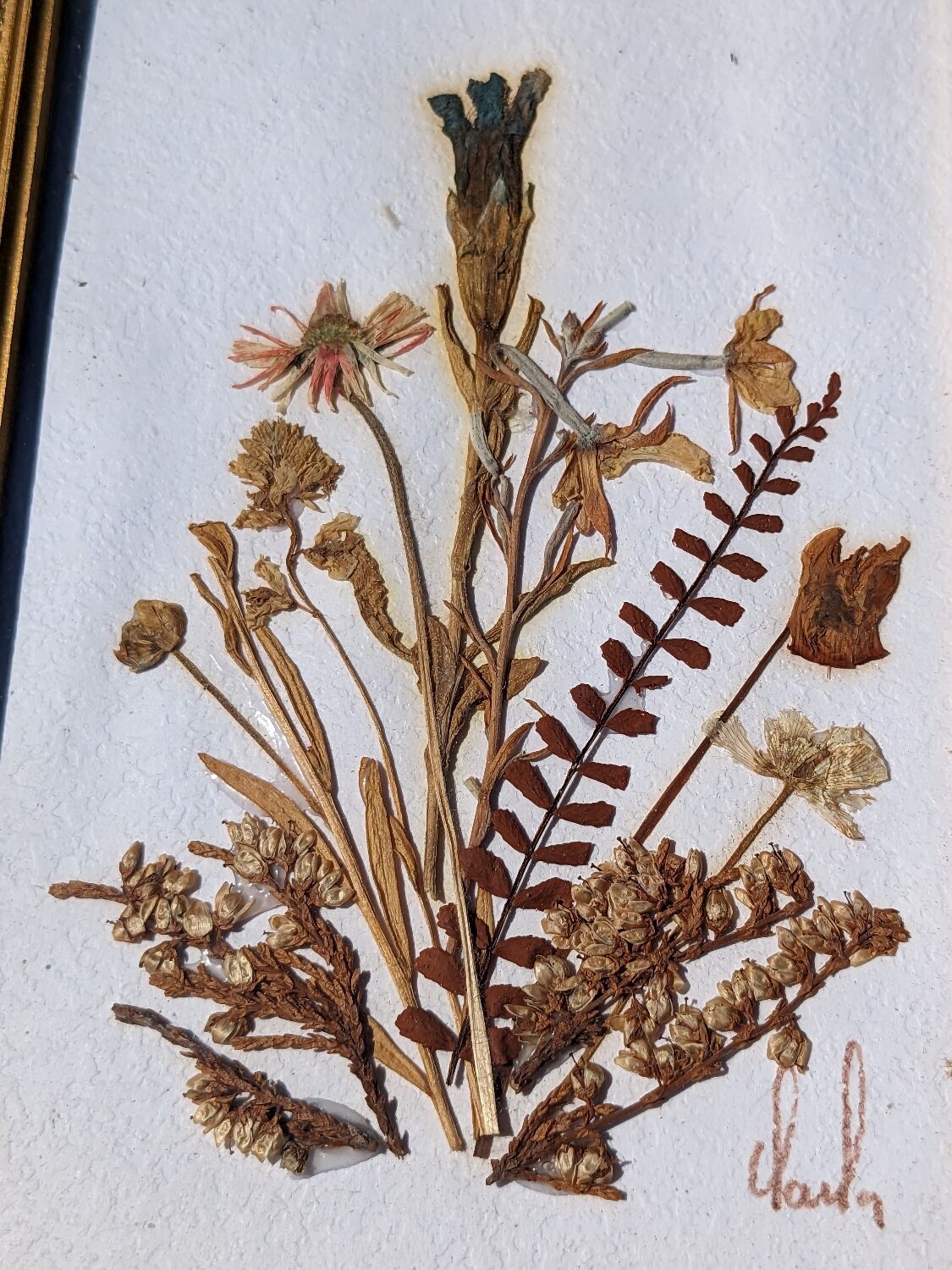 Vintage frame dried flowers
