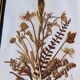Vintage frame dried flowers