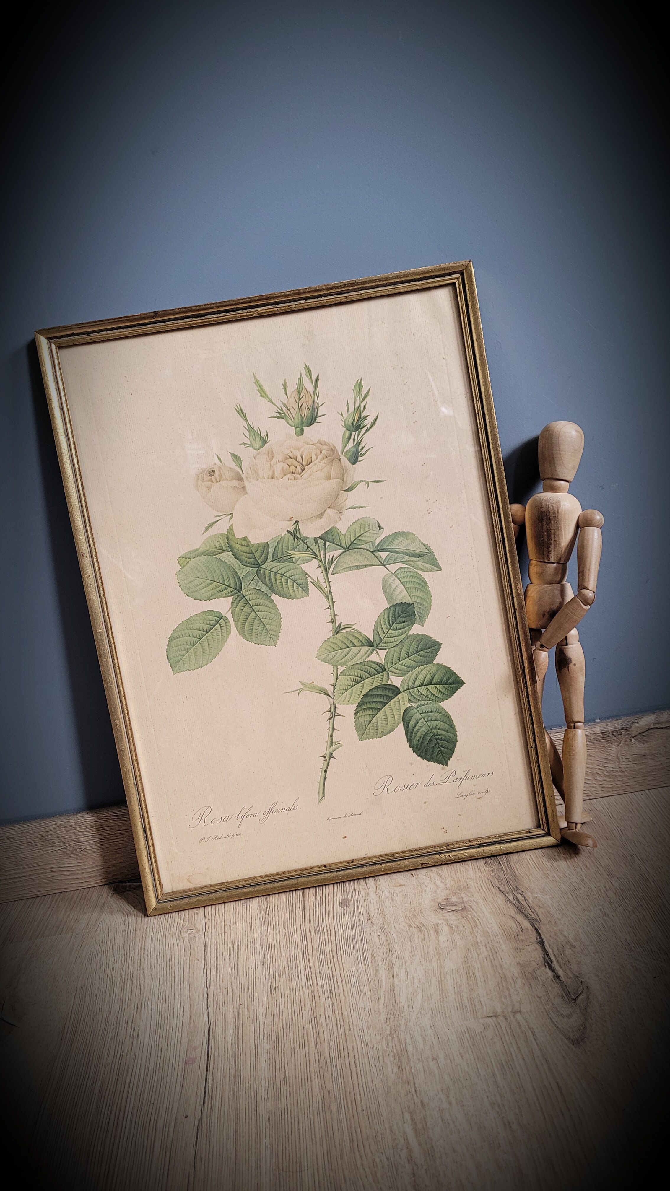 Litho rosier perfumers