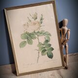 Litho rosier perfumers